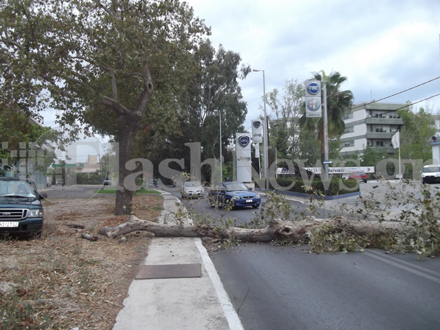 Δέντρο έκοψε στη μέση το δρόμο στην λεωφ. Σούδας στα Χανιά