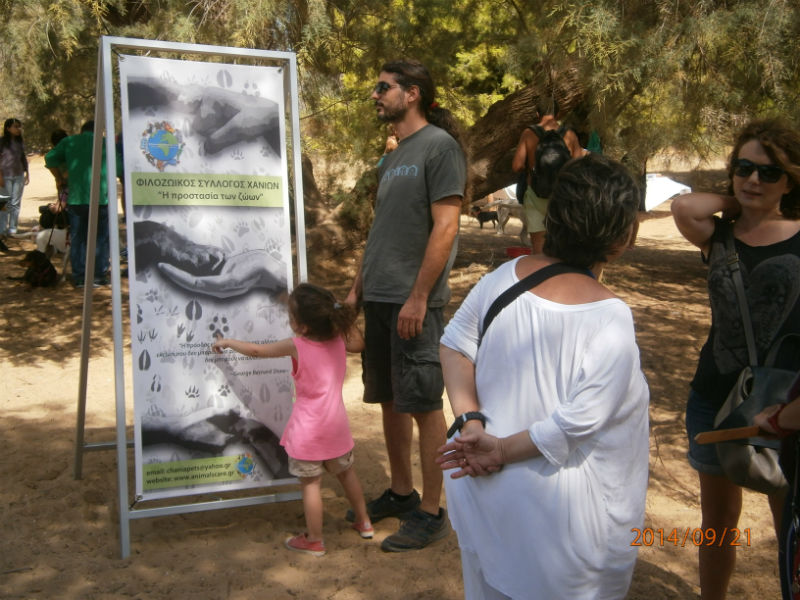 Χανιά: Beach Party για… σκυλιά στους Αγίους Αποστόλους (φωτο)