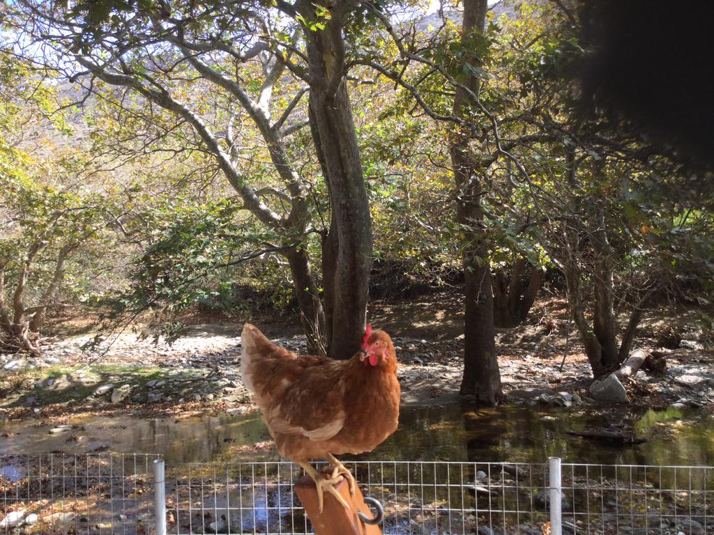 Η Ελένη Μενεγάκη με το αγροτικό της στο λιμάνι  Βάζει και κόσμο στην… καρότσα (Photos)