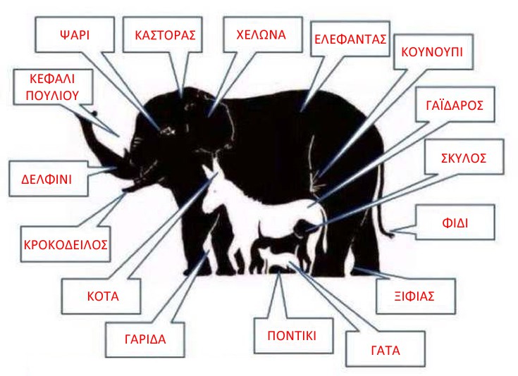 Πόσα ζώα μπορείτε να εντοπίσετε σε αυτήν την εικόνα;