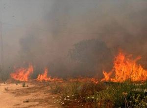 Μαίνεται η φωτιά στη Βιάννο-Καλύτερη σήμερα η κατάσταση