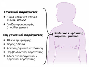 Πότε πρέπει να κάνετε το τεστ BRCA1 και 2, το οποίο έκανε η Τζολί πριν υποβληθεί σε μαστεκτομή