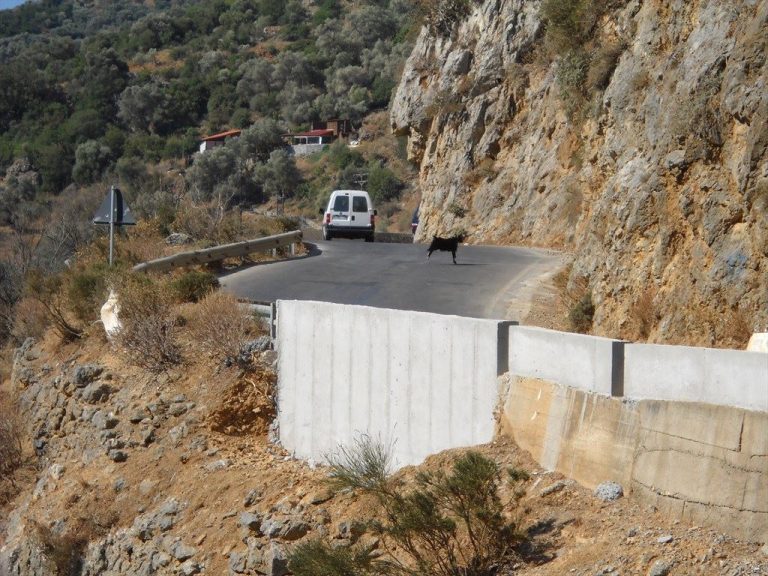 Τί έδειξε η αυτοψία στα Τοπόλια - Ανακοινώθηκε ότι κλείνει τμήμα του δρόμου