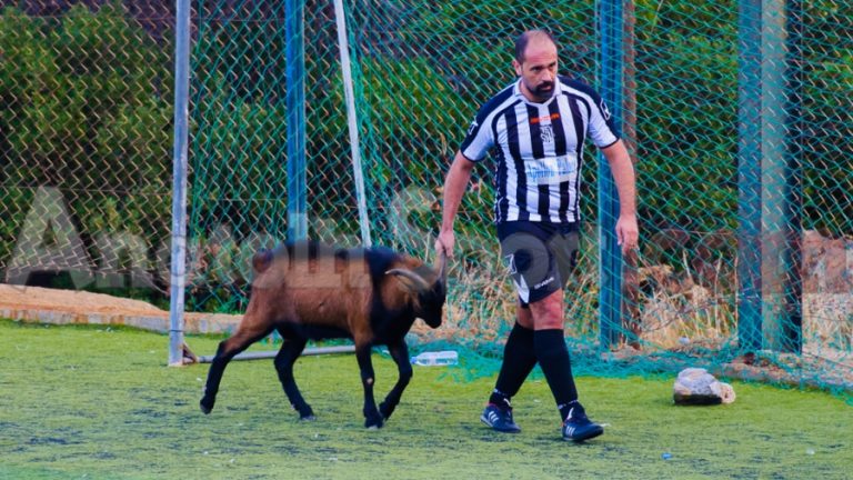 Ποδοσφαιρόφιλος Κρητικός τράγος (video)