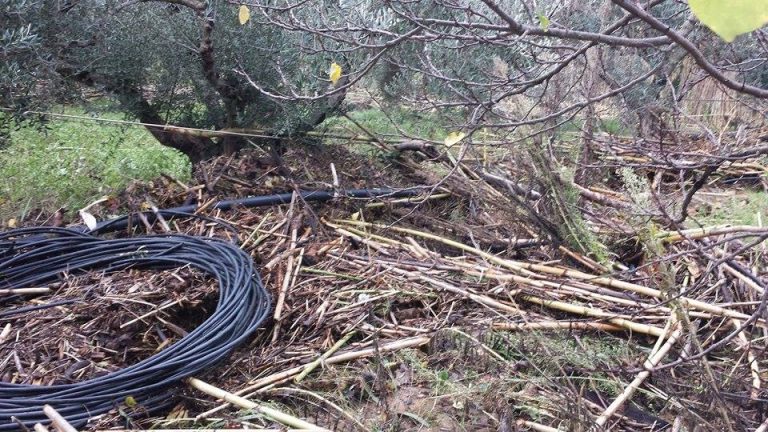 Χανιά: Μια αφιέρωση στους δημάρχους…