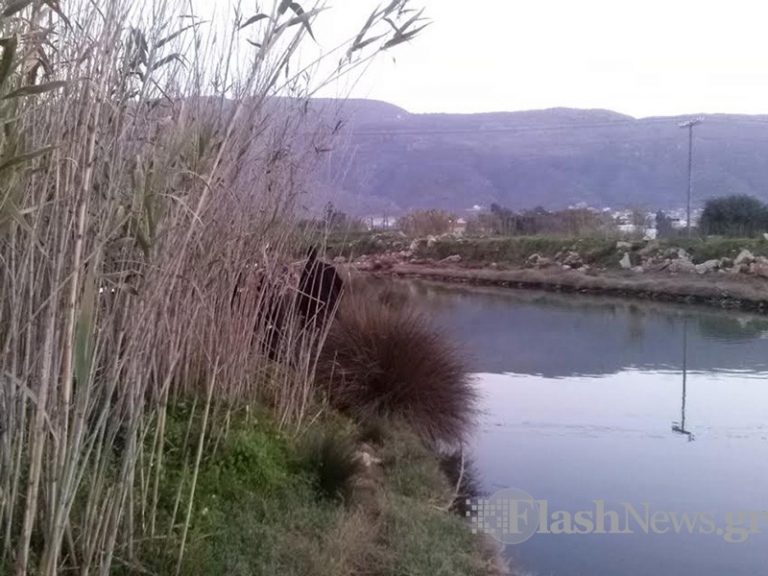 Συναγερμός στα Χανιά - Εντοπίστηκε πτώμα σε ποταμό