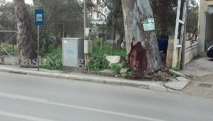 Η μορφή που εμφανίστηκε σ’ενα δέντρο στη Λεωφόρο Σούδας (φωτο)