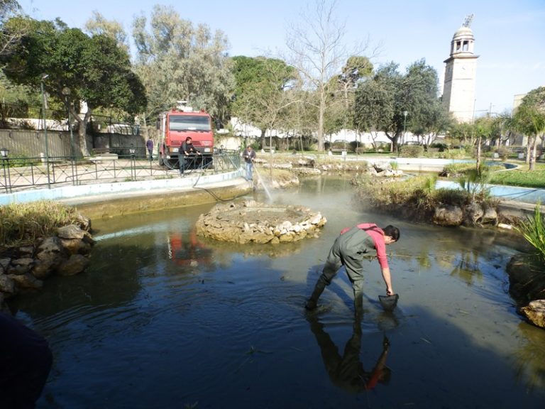 Χανιά: Επιχείρηση καθαρισμού της λίμνης στο Πάρκο Ειρήνης και Φιλίας των Λαών