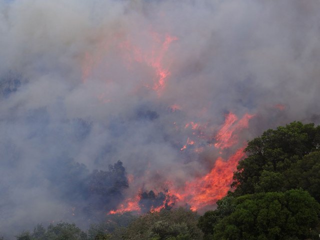 Κρήτη:Μεγάλη φωτιά τη νύχτα