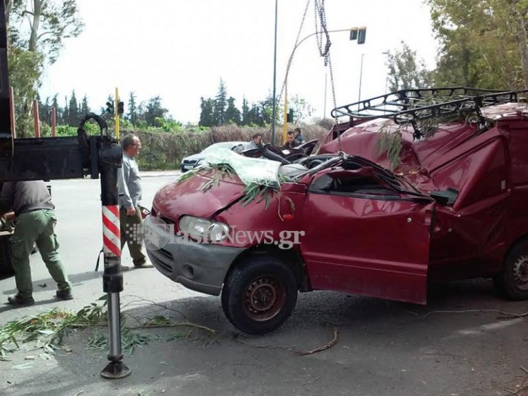 Τραγωδία στα Χανιά - Δέντρο καταπλάκωσε και σκότωσε οδηγό (φωτο)