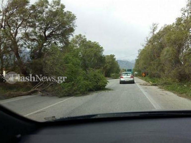 Προβλήματα στην Εθνική οδό από πτώση δέντρων - Προσοχή στους οδηγούς (φωτο)