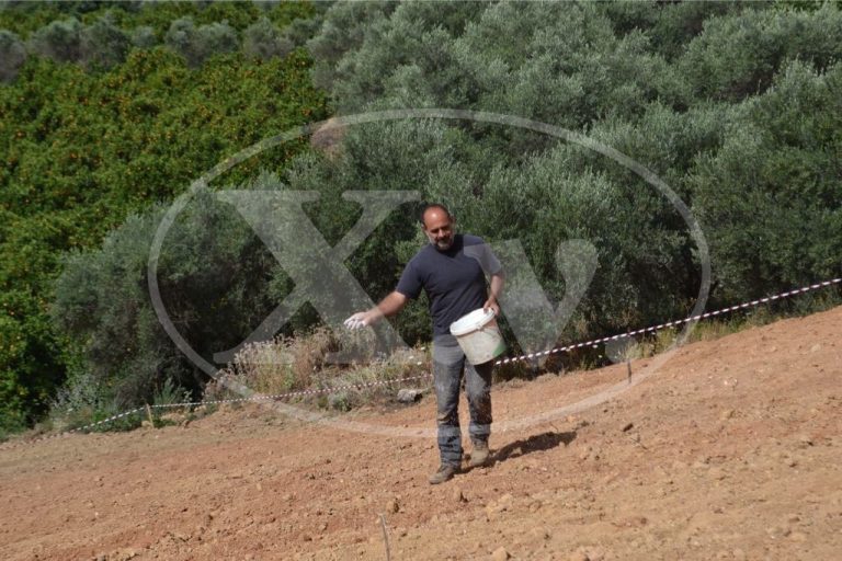 Ξεκίνησε η βιομηχανική κάνναβη στα Χανιά