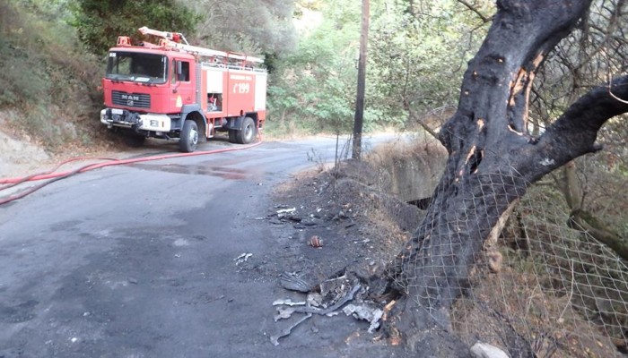 Ολονύχτια μάχη με τις φλόγες στο Ελαφονήσι - Σε ύφεση η φωτιά (φωτο)