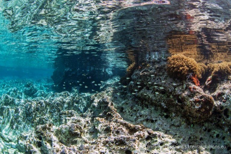 Χανιά: Στην τελική ευθεία το καταδυτικό πάρκο Αποκορώνου (video)