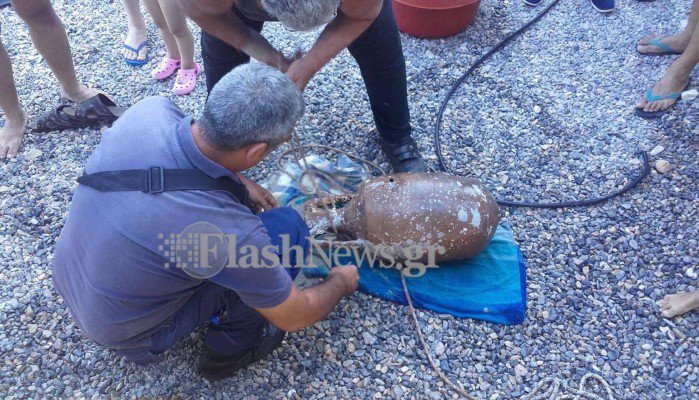 Η βουτιά θα αποκάλυπτε αμφορέα στα Σφακιά (φωτο)