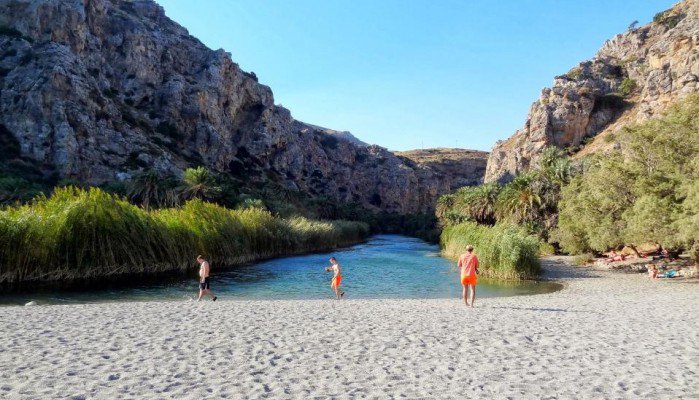 Δενδρύλλια κάνναβης ύψους δυο μέτρων στη Λίμνη Πρέβελη!