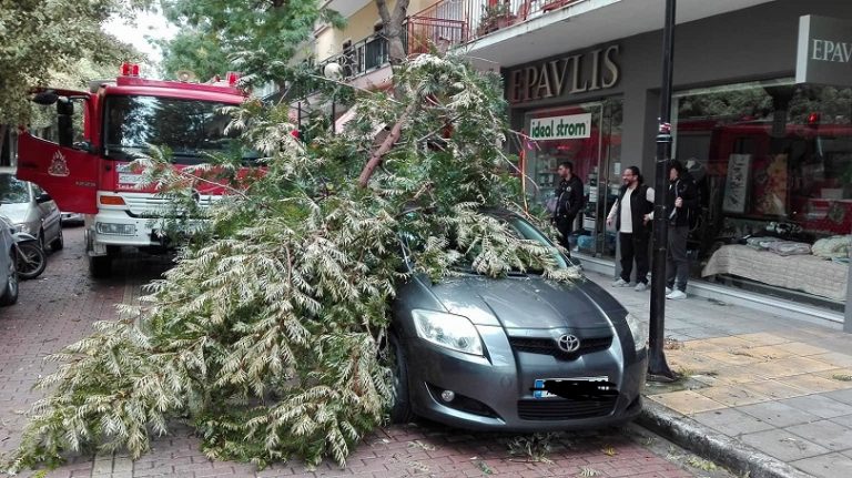 Κλαδί από δέντρο καταπλάκωσε αυτοκίνητο-Προβλήματα στα Χανιά από τον αέρα (φωτο