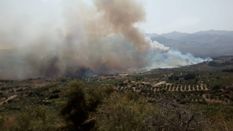 Χανιά: Μεγάλη φωτιά στον Άγιο Φανούριο (φωτο)