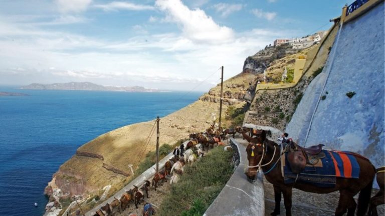 Η Ελλάδα απαγορεύει στους υπέρβαρους τουρίστες να καβαλάνε γαϊδουράκια