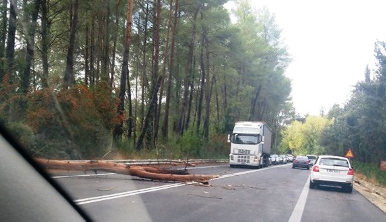 Έπεσε δέντρο στην Εθνική οδό Χανίων-Ρεθύμνου (φωτο)