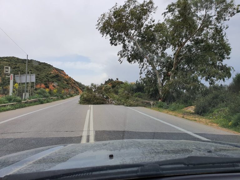 Χανιά: Προσοχή οι δυνατοί νοτιάδες ρίχνουν κλαδιά και αντικείμενα στους δρόμους (φωτο)