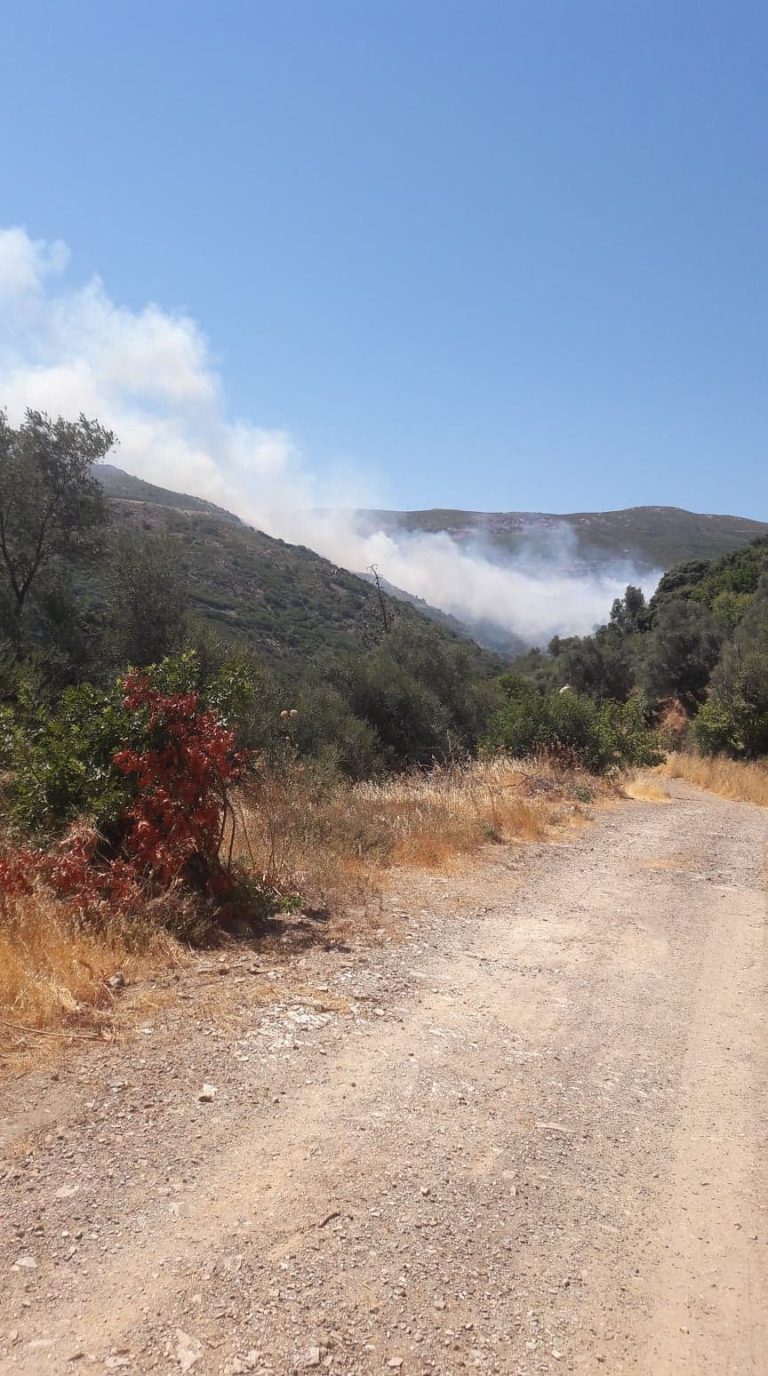 Μεγάλη φωτιά στον δήμο Καντάνου - Σελίνου