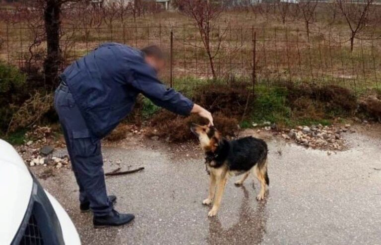 Χανιά: Αστυνομικοί διέσωσαν αλυσοδεμένο σκύλο στο οροπέδιο του Ομαλού (φωτο)