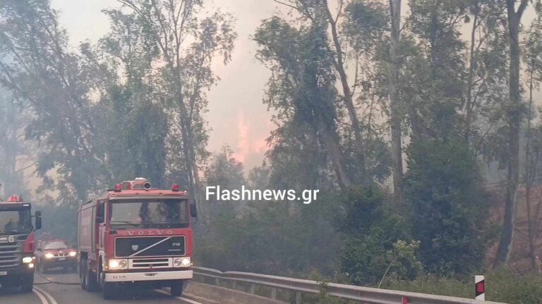 Χανιά: Μεγάλη πυρκαγιά κοντά στον Ναύσταθμο Κρήτης - Εκκενώθηκε ο οικισμός, ασθενείς μεταφέρονται στο ΝΝΚ (φωτο)