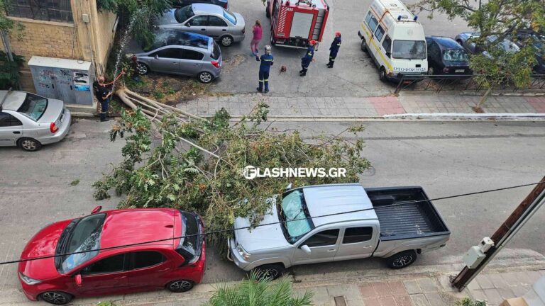 Χανιά: Ο δυνατός αέρας έριξε δέντρο στη Χαλέπα – Κινητοποίηση της Πυροσβεστικής (φωτο)