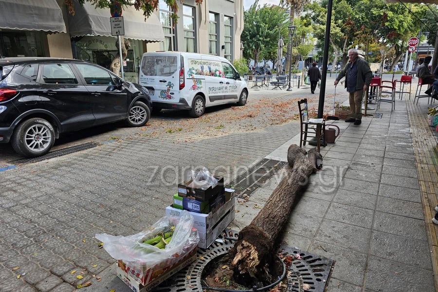 Χανιά: Φορτηγό έριξε δέντρο στο κέντρο της πόλης (φωτο)