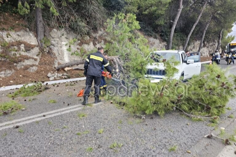 Χανιά: Έπεσε δέντρο στην Ακρωτηρίου – Μεγάλο κυκλοφοριακό κομφούζιο (φωτο)