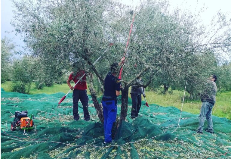 Χανιά: Ήρθαν για το λιομάζωμα αλλά ήταν καταζητούμενοι εγκληματίες