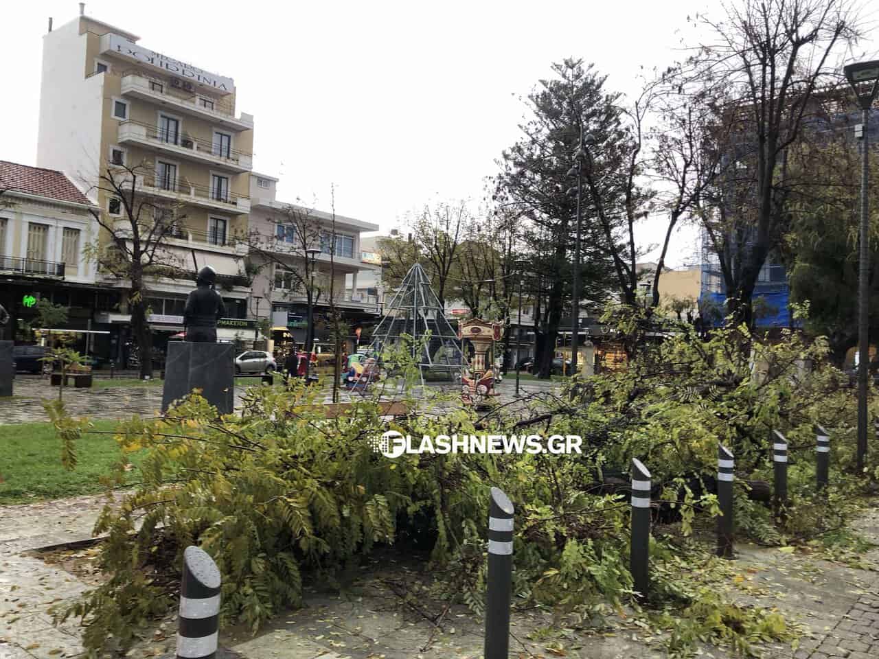 Χανιά: Πτώση δέντρου στην πλατεία 1866 στο κέντρο της πόλης (φωτο)