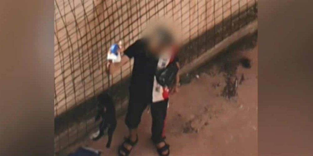 Σοκ με νέα κακοποίηση ζώου: 15χρονος κρέμασε από τον λαιμό σκύλο και τον μαστίγωσε – Βίντεο με σκληρές εικόνες
