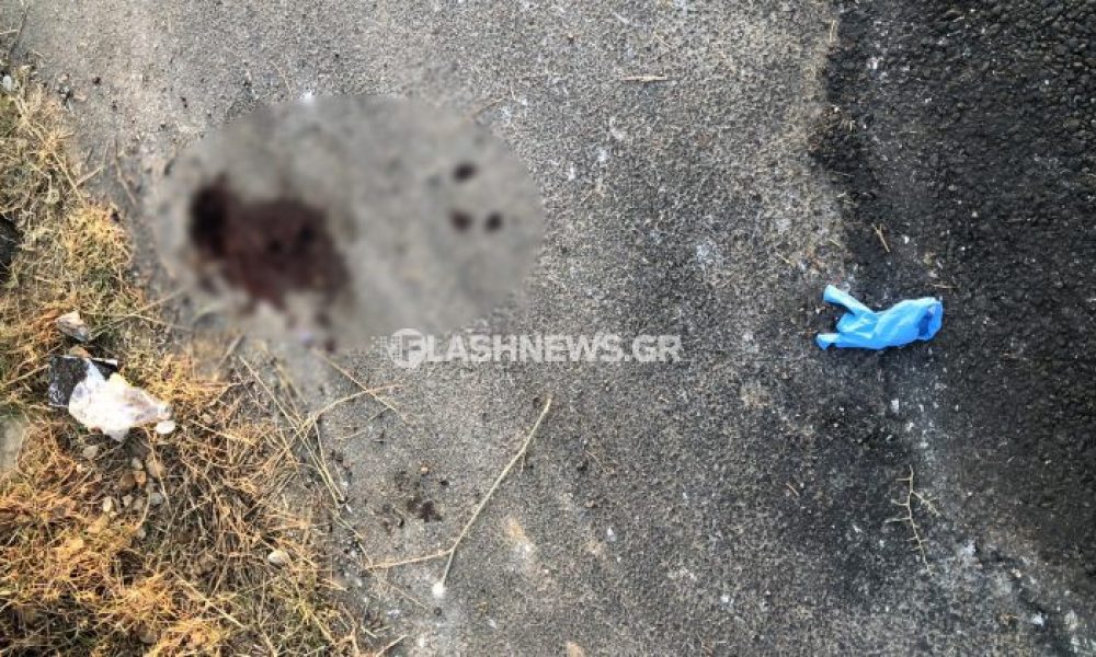 Νέα τραγωδία στα Χανιά – Νεκρή η μία τουρίστρια που παρασύρθηκε από αυτοκίνητο στη Γεωργιούπολη (φωτο)