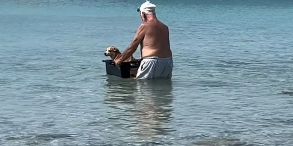 Viral ο ηλικιωμένος που κάνει… βαρκάδα τον σκύλο του – Δείτε βίντεο