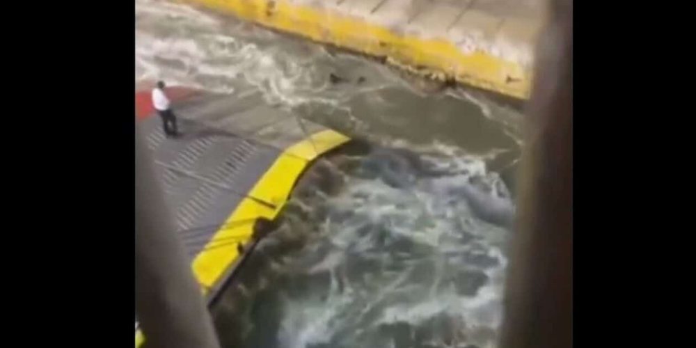 Άτομο με αναπηρία ο 36χρονος Αντώνης που το πέταξαν στην θάλασσα και πνίγηκε όταν πήγε να προλάβει το πλοίο
