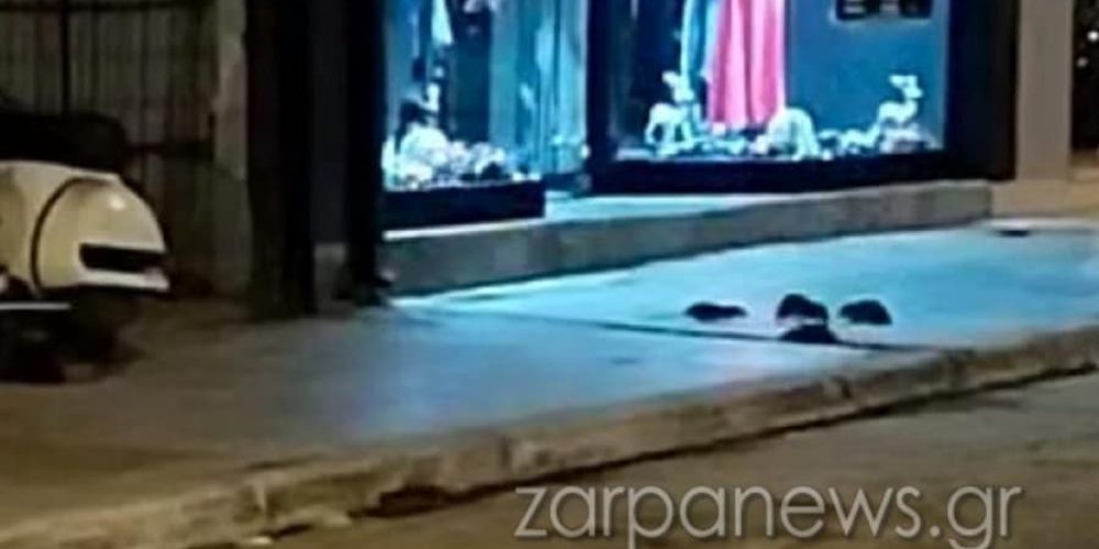 Χανιά: Πάρτι το βράδυ για τα ποντίκια στην Σκαλίδη – Έκοβαν βόλτες στο πεζοδρόμιο (video)
