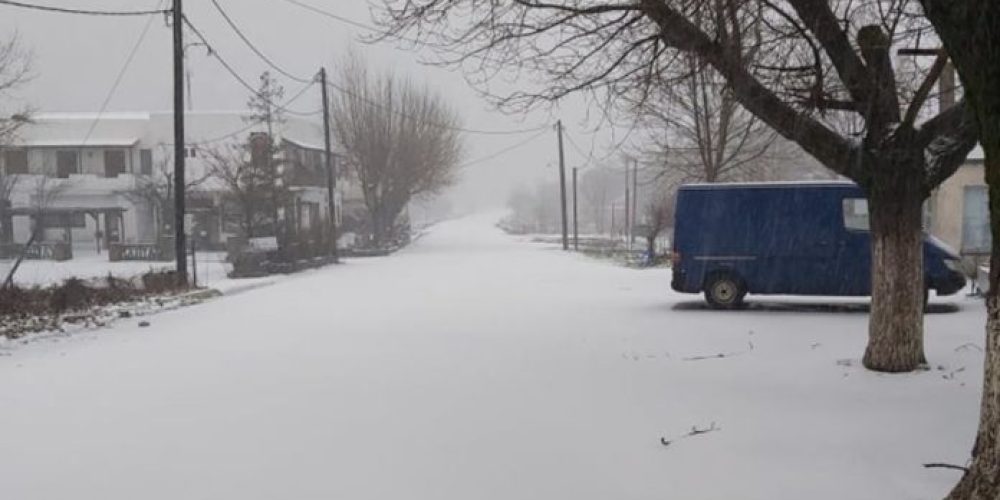 Χανιά: Στα άσπρα για πρώτη φορά εφέτος ο Ομαλός- Χιονίζει από τη νύχτα (φωτο)