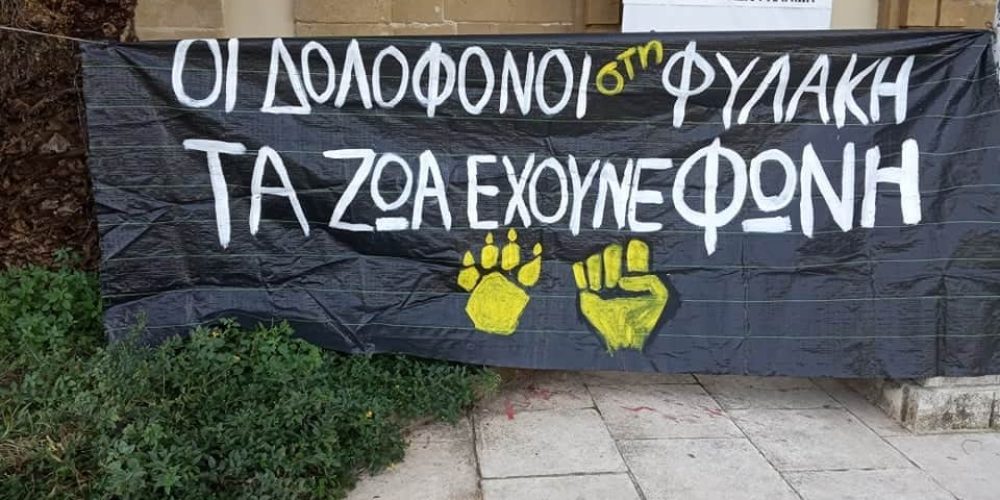 Ένοχος ένας Χανιώτης για τον θάνατο δυο σκυλιών – Η ποινή που του επιβλήθηκε