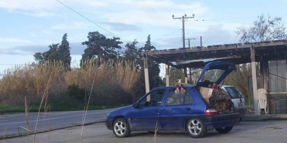 Απίστευτο! Κινούμενο κοτέτσι στο κέντρο των Χανίων